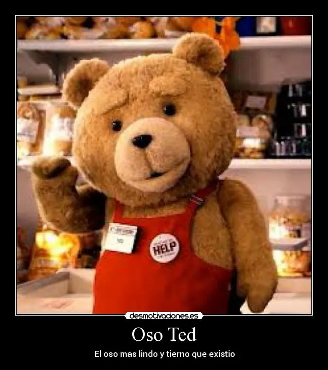 Oso ted gracioso - Imagui