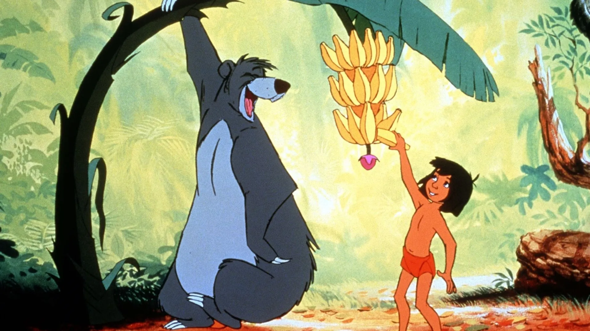 Los osos más famosos del cine - Paloma & Nacho Los osos más famosos del cine - Paloma & Nacho