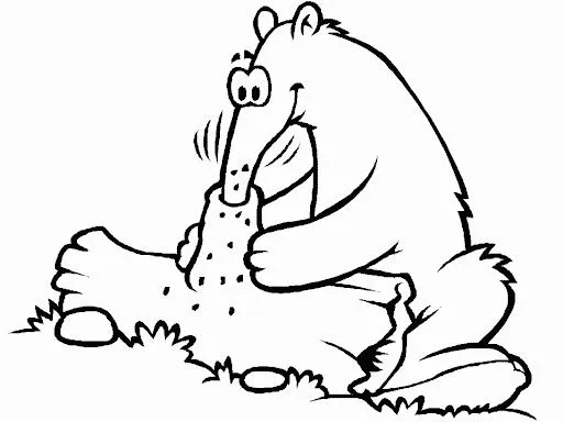 OSOS HORMIGUEROS DIBUJOS PARA COLOREAR | Dibujos para colorear OSOS HORMIGUEROS DIBUJOS PARA COLOREAR | Dibujos para colorear