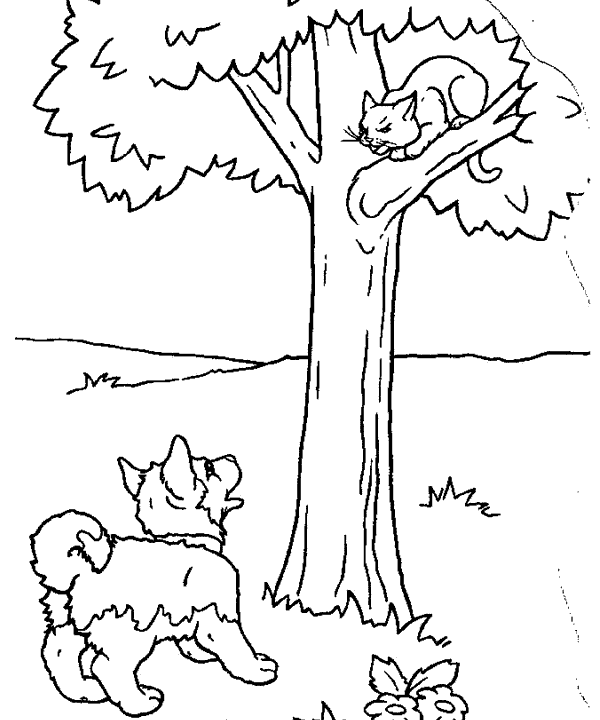 Gatos peleando para colorear - Imagui
