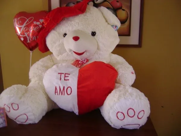 Osos de Peluches (medianos y grandes) - GIFT EXPRESS