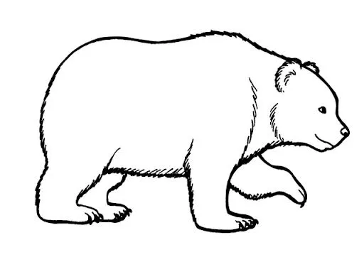 OSOS POLARES DIBUJOS PARA COLOREAR