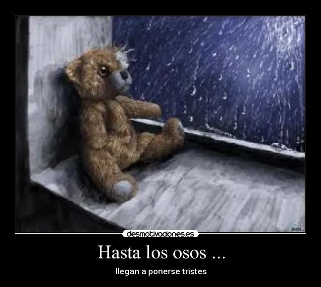 Hasta los osos ... | Desmotivaciones