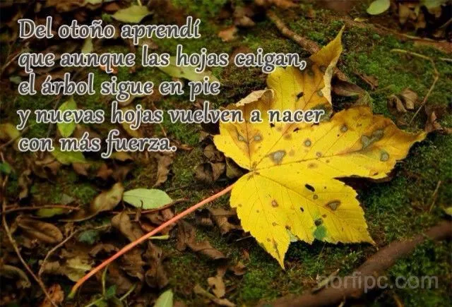 Del Otoño aprendí | Frases | Pinterest