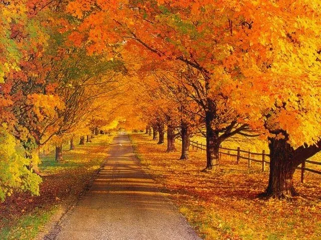 otoño 2 | EL BAUL DE MI PSP