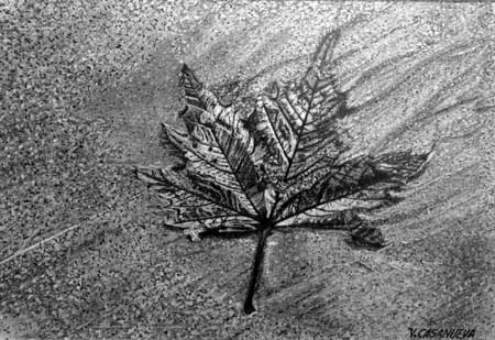 Otoño Dibujos a lápiz, Vicente Casanueva