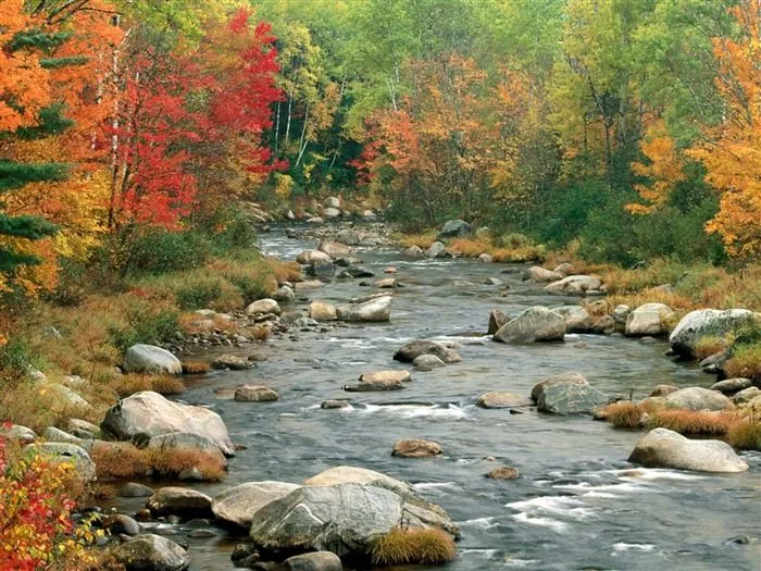 Fondos de pantalla de paisajes de otoño - Imagui Fondos de pantalla de paisajes de otoño - Imagui