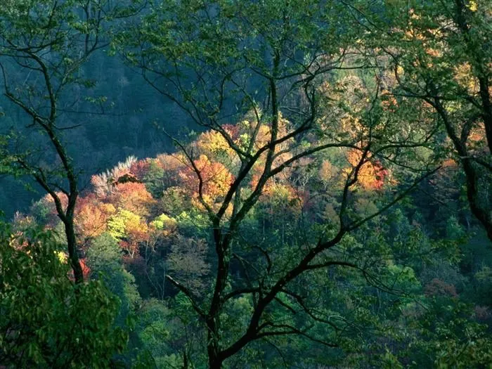 Bellos paisajes para fondo de pantalla - Imagui Bellos paisajes para fondo de pantalla - Imagui