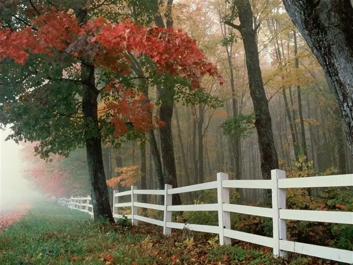 Otoño fondos de escritorio de bellos paisajes #24 - Fondo de ... Otoño fondos de escritorio de bellos paisajes #24 - Fondo de ...