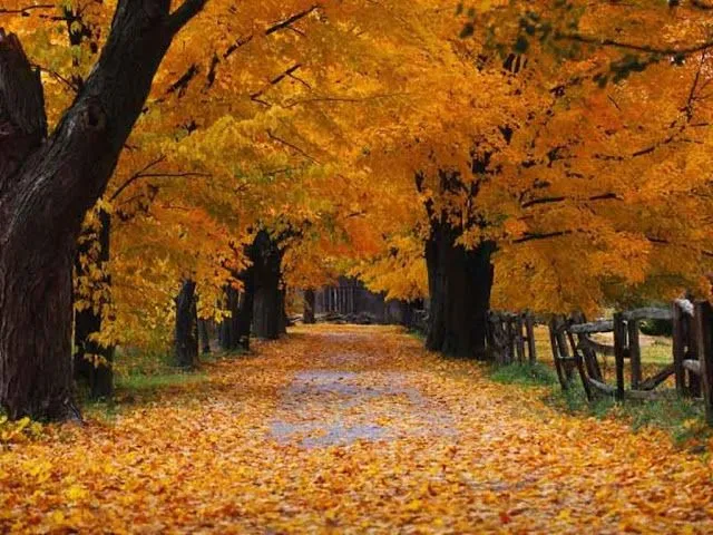 Fondos de pantalla paisajes otoñales gratis - Imagui Fondos de pantalla paisajes otoñales gratis - Imagui