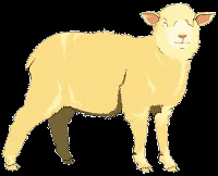 Oveja, dibujo a color sin copyright | Imagenes Sin Copyright
