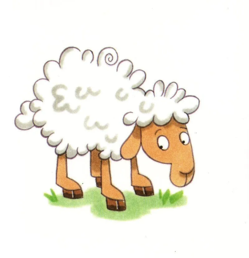 Ovejas dibujos a color - Imagui