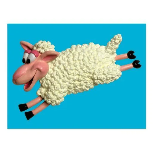 Ovejas tontas tarjetas postales | Zazzle