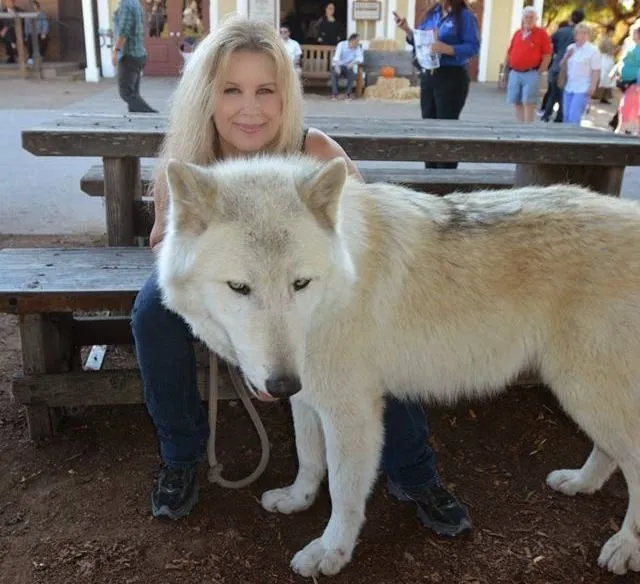 El Ovejero Alemán Negro Sólido: El perro lobo americano y la ... El Ovejero Alemán Negro Sólido: El perro lobo americano y la ...