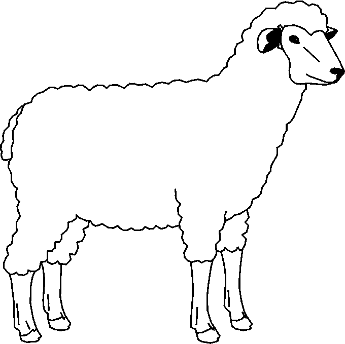 Ovino para colorear - Imagui