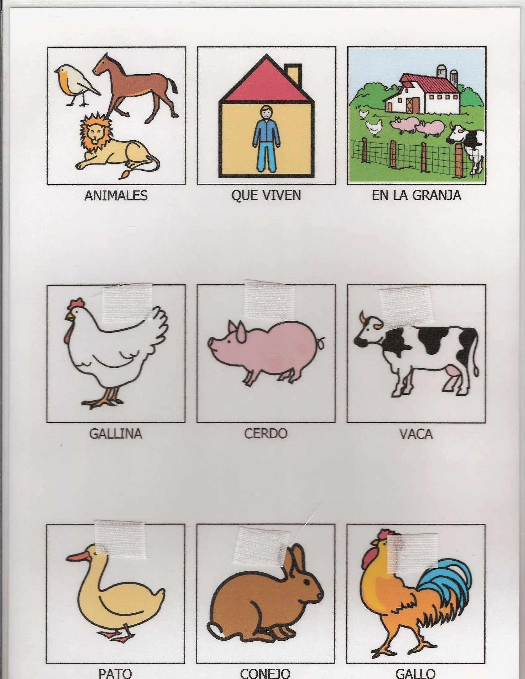 Pin Actividades Para Preescolar Los Animales Oviparos Viviparos ... Pin Actividades Para Preescolar Los Animales Oviparos Viviparos ...