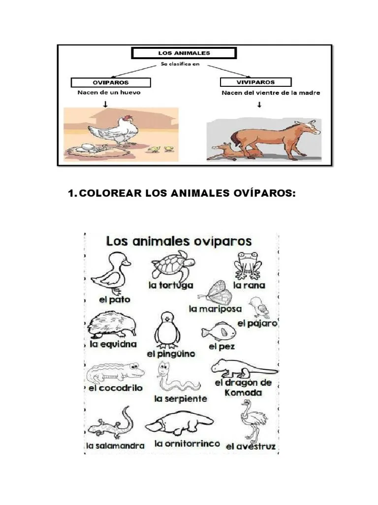 Oviparos y Viviparos | PDF
