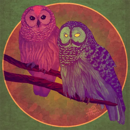 Owl facts - Beauty will save