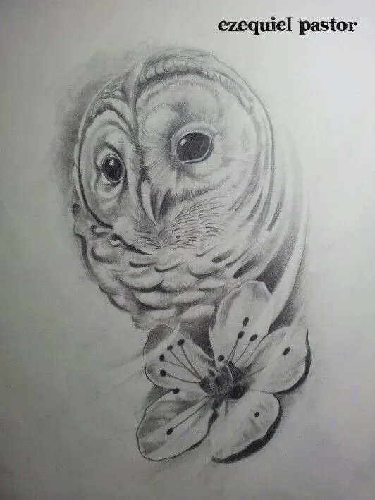 Owl,buho, draw,drawing,dibujo,sketch,book,design,diseño,art ... Owl,buho, draw,drawing,dibujo,sketch,book,design,diseño,art ...