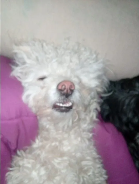 PA ME on X: PA ME on X: