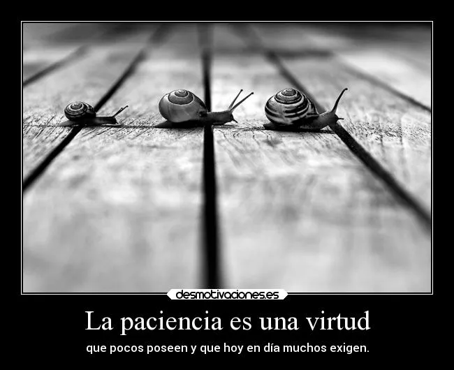 La paciencia es una virtud | Desmotivaciones La paciencia es una virtud | Desmotivaciones