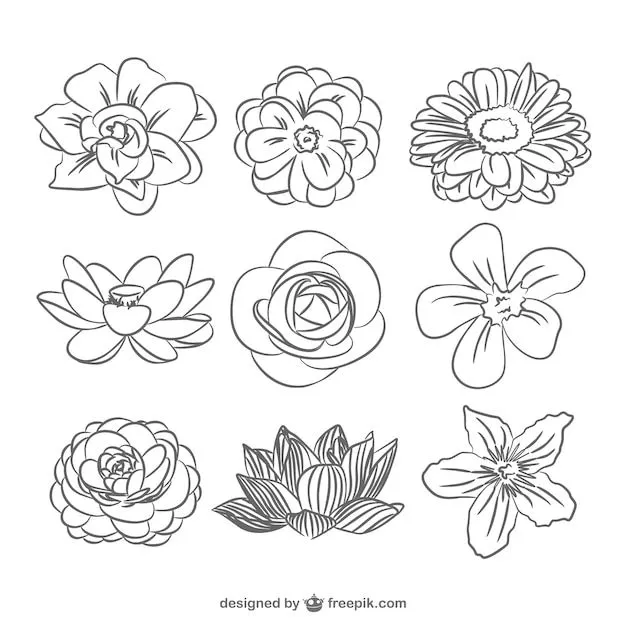 Pack de flores en blanco y negro | Descargar Vectores gratis