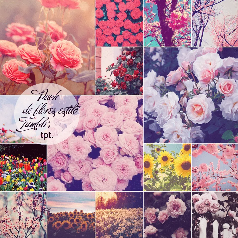 Pack de Flores estilo Tumblr by CloseYourEyesNow on DeviantArt Pack de Flores estilo Tumblr by CloseYourEyesNow on DeviantArt