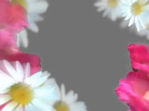 PACK FONDOS BACKGROUND - XV AÑOS CROMAKEY NO.1 - YouTube PACK FONDOS BACKGROUND - XV AÑOS CROMAKEY NO.1 - YouTube