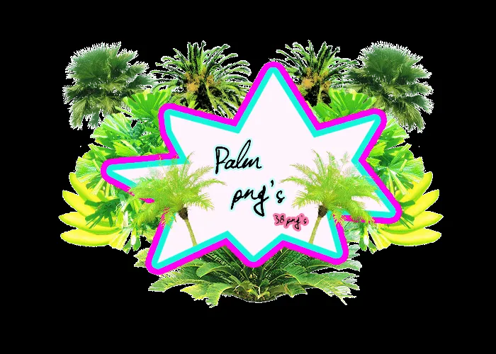 PACK PNG DE PALMERAS by Pr1nc33s on DeviantArt PACK PNG DE PALMERAS by Pr1nc33s on DeviantArt