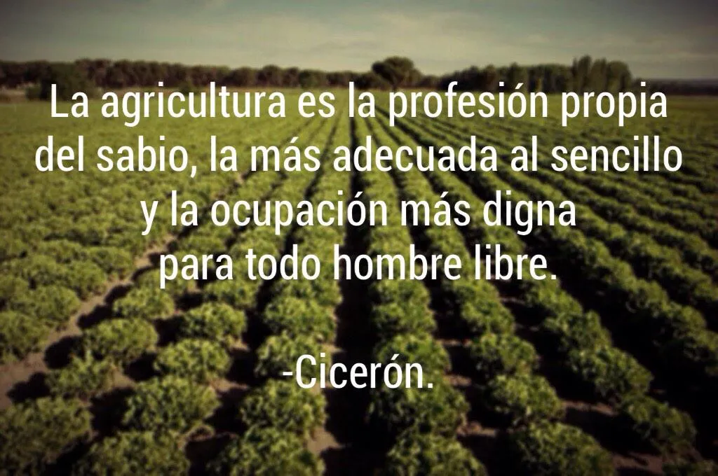 Paco Santoyo (@Paco_Santoyo) | Twitter