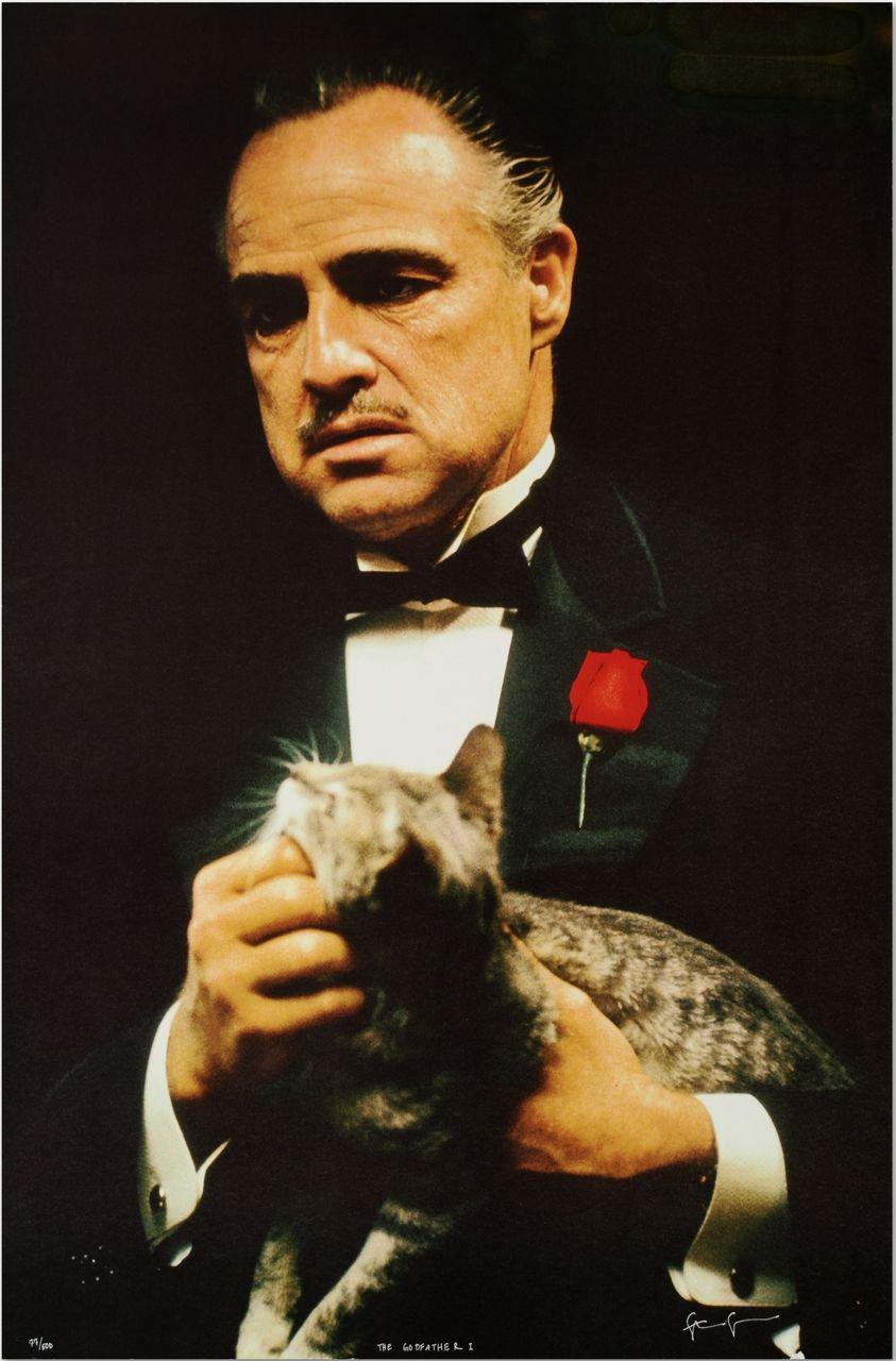 En El Padrino (1972), Marlon Brando estaba realmente nervioso por las posibles represalias violentas de la mafia por su interpretación de un don. Para calmar sus nervios, llevaba a su gato al