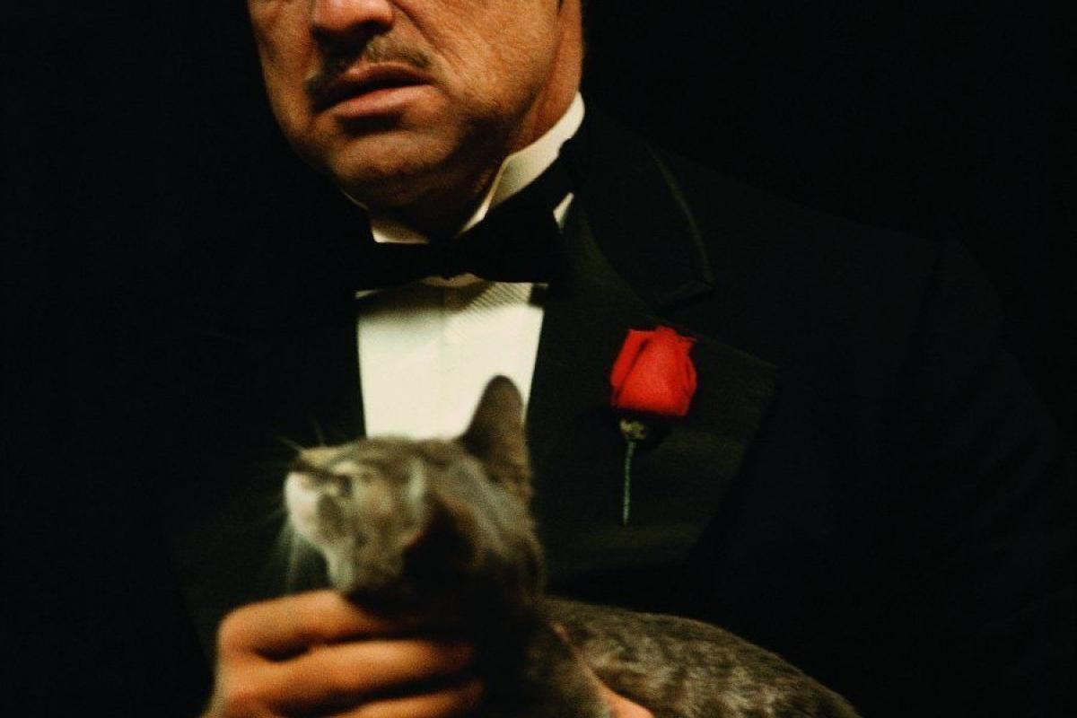 El padrino', cómo Francis Ford Coppola convirtió una novela corriente en una obra maestra del cine