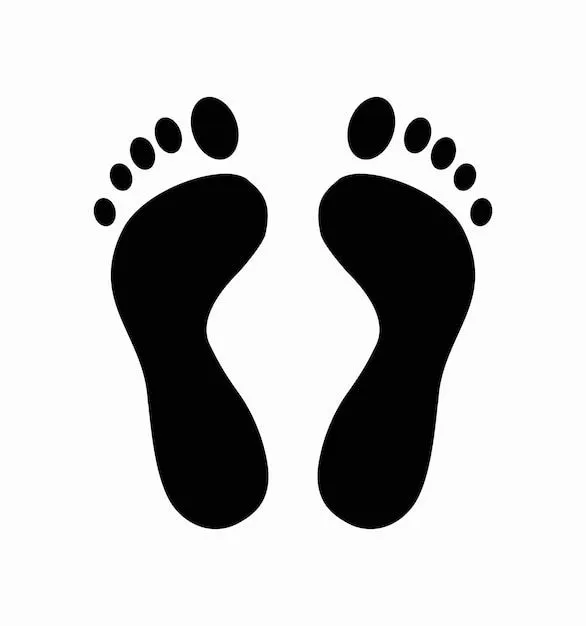 Página 10 | Vectores e ilustraciones de Pies sanos para descargar gratis | Freepik Página 10 | Vectores e ilustraciones de Pies sanos para descargar gratis | Freepik