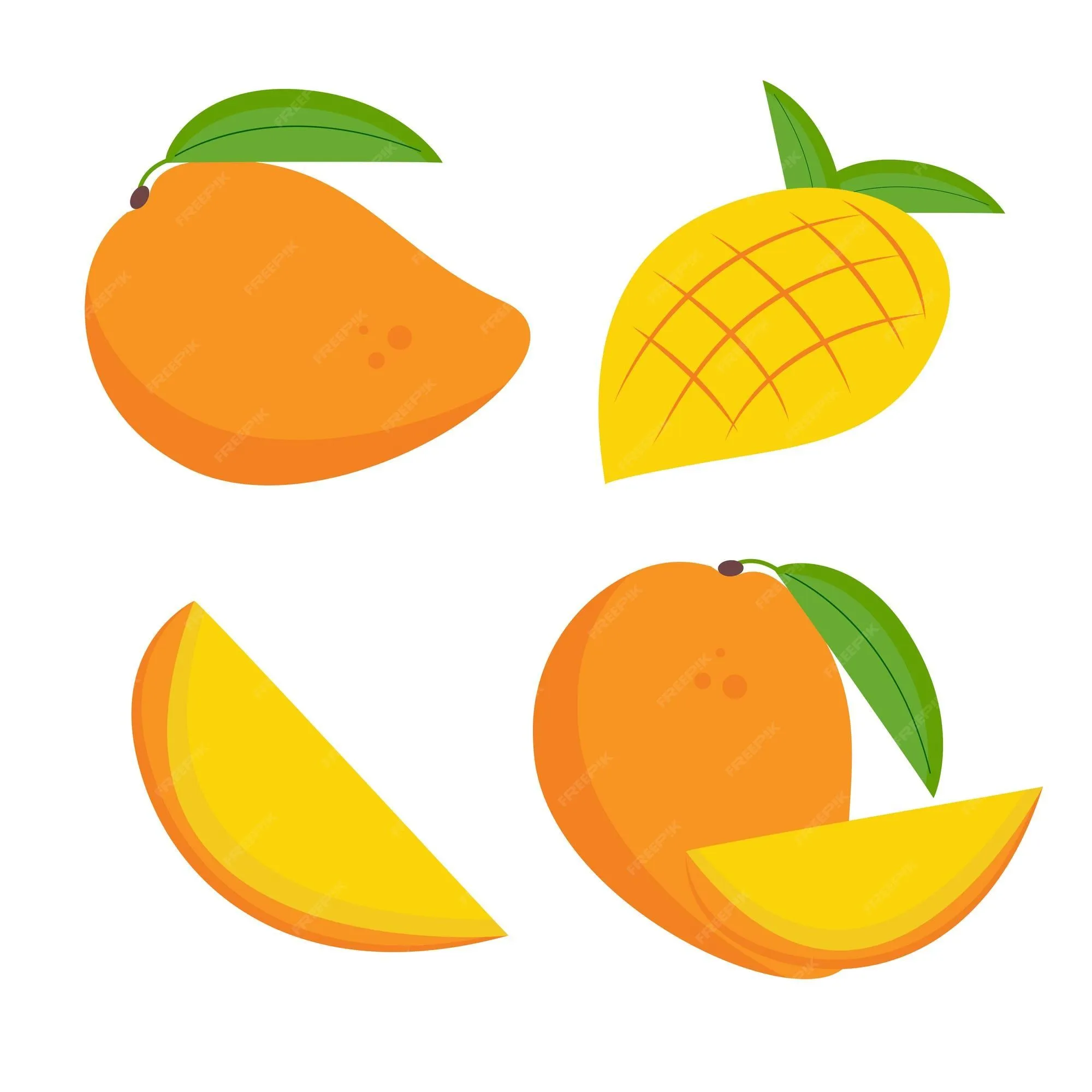 Página 25 | Vectores e ilustraciones de Rebanada de mango para descargar gratis | Freepik