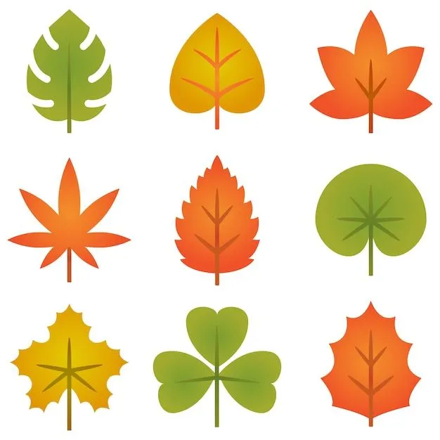Página 31 | Vectores e ilustraciones de Hoja abedul para descargar gratis | Freepik Página 31 | Vectores e ilustraciones de Hoja abedul para descargar gratis | Freepik