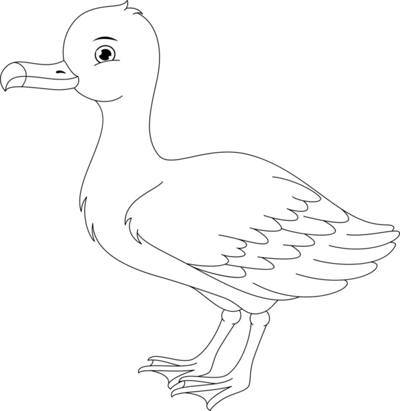 Página para colorear de Albatros — Vector stock © Malyaka #46844737 Página para colorear de Albatros — Vector stock © Malyaka #46844737
