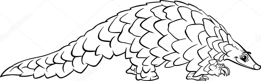 Página para colorear animales de dibujos animados de Pangolin ... Página para colorear animales de dibujos animados de Pangolin ...