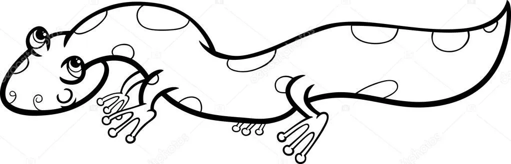 Página para colorear de dibujos animados de Salamandra — Vector ... Página para colorear de dibujos animados de Salamandra — Vector ...