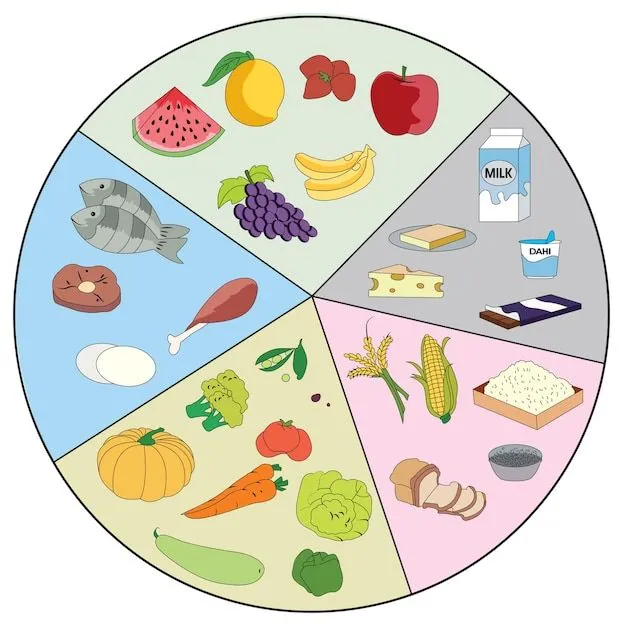 Página 3 | Imágenes de Alimentacion Dibujo - Descarga gratuita en Freepik Página 3 | Imágenes de Alimentacion Dibujo - Descarga gratuita en Freepik