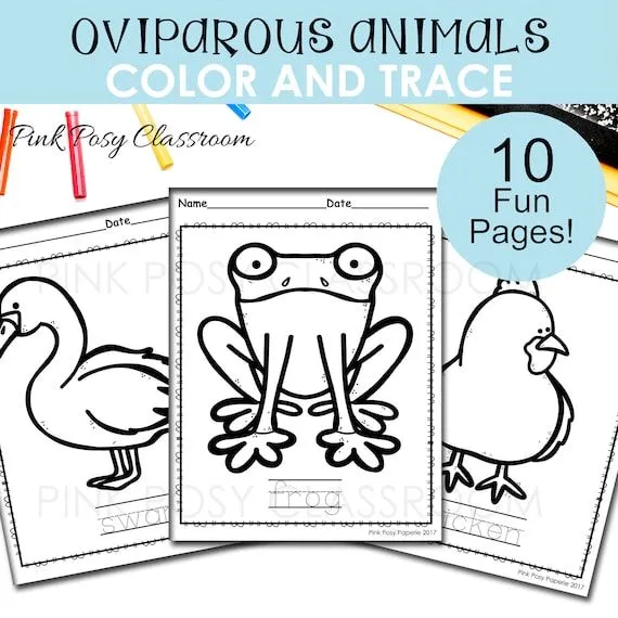 Páginas para colorear de animales ovíparos colorea y traza - Etsy México Páginas para colorear de animales ovíparos colorea y traza - Etsy México