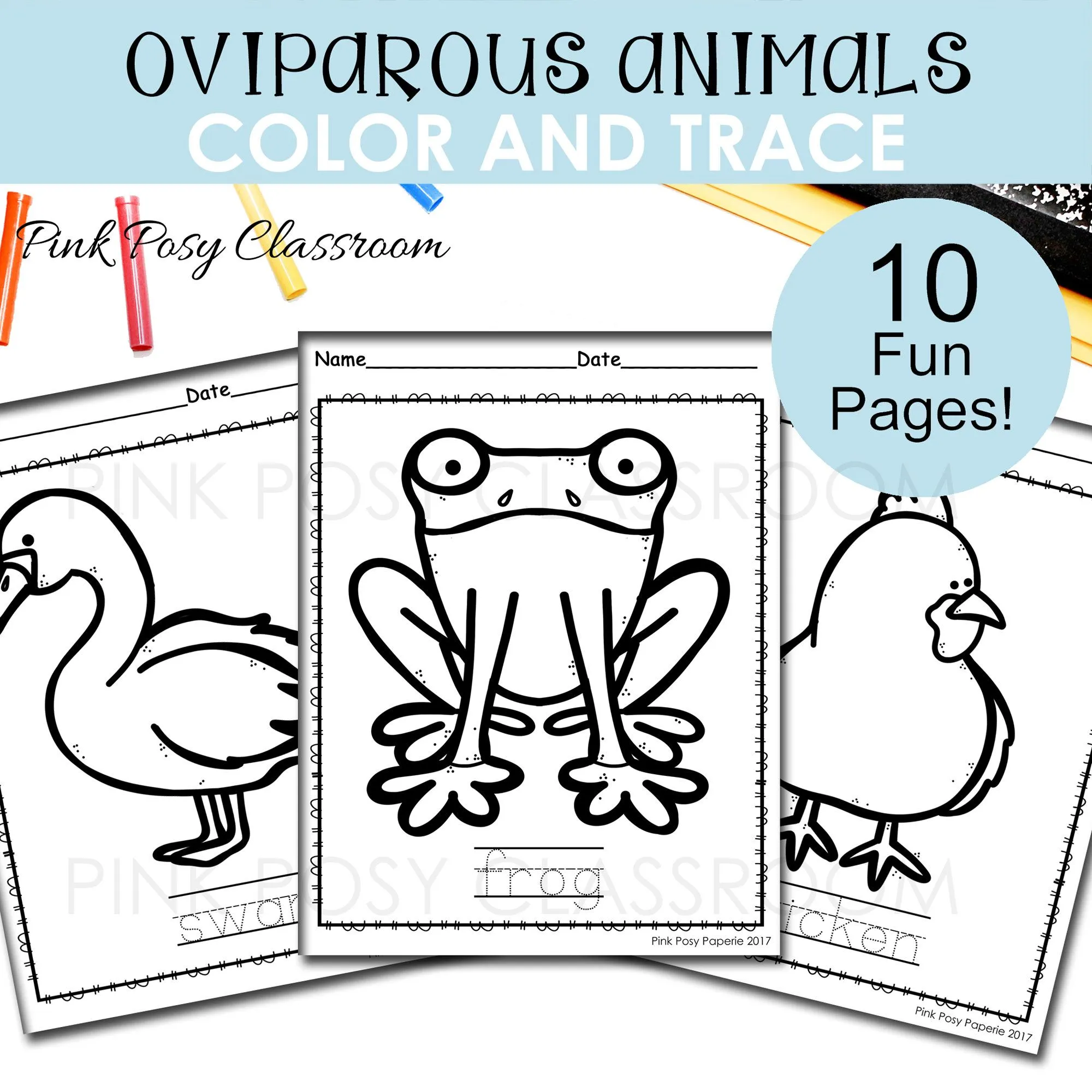 Páginas para colorear de animales ovíparos colorea y traza - Etsy México Páginas para colorear de animales ovíparos colorea y traza - Etsy México
