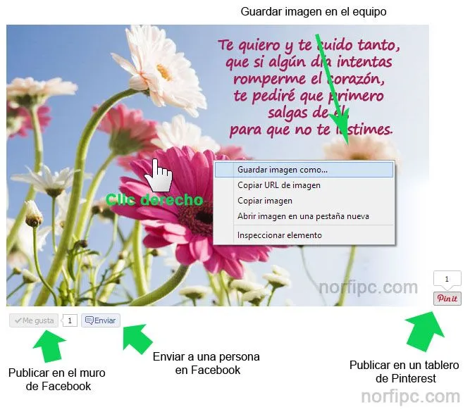 Todas las páginas con frases y mensajes de amor de NorfiPC Todas las páginas con frases y mensajes de amor de NorfiPC