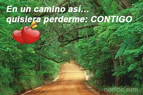 Todas las páginas con imágenes, fotos y montajes de amor de NorfiPC Todas las páginas con imágenes, fotos y montajes de amor de NorfiPC