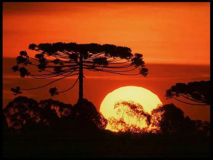 Paisagens naturais | Paisagens | Pinterest