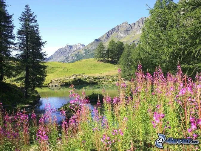 Paisaje