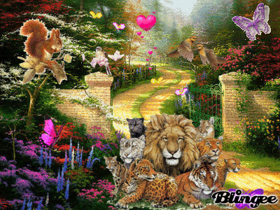 paisaje animal¡¡ Fotografía #101356448 | Blingee. paisaje animal¡¡ Fotografía #101356448 | Blingee.