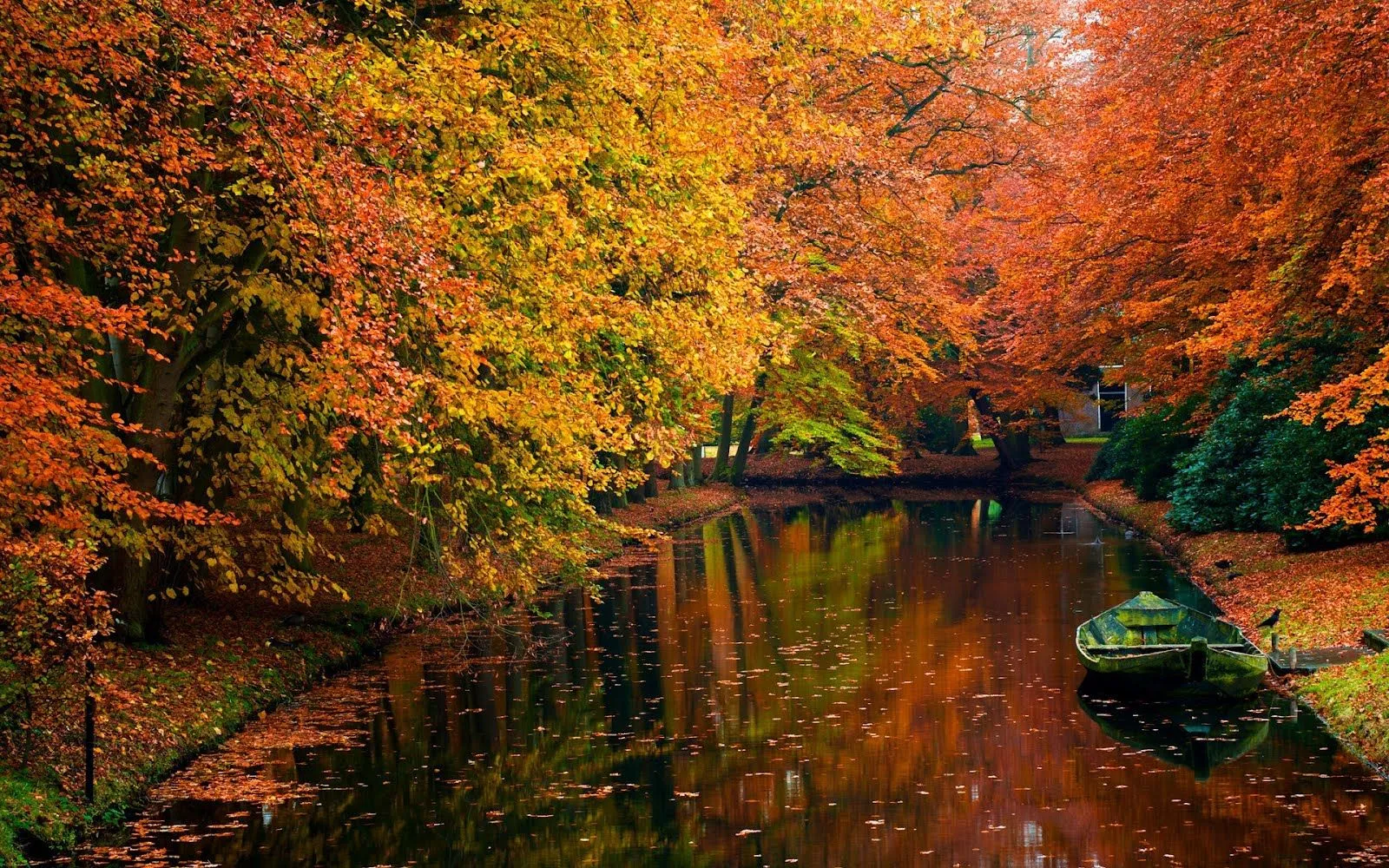 Paisaje con árboles en otoño junto al canal (1920x1200) | Banco de ... Paisaje con árboles en otoño junto al canal (1920x1200) | Banco de ...