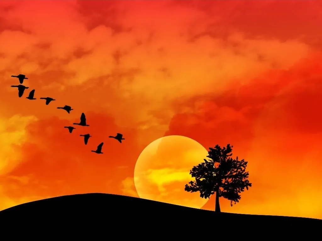 paisaje-atardecer-wallpaper- ...