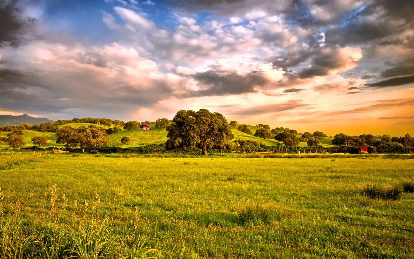 Paisaje de campo con cielo nublado | Wallpaper- Paisaje de campo con cielo nublado | Wallpaper-