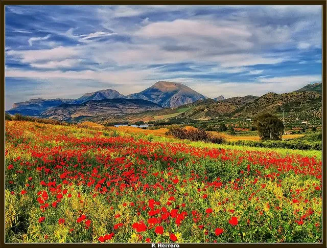 Paisaje De Colores | Flickr - Photo Sharing! Paisaje De Colores | Flickr - Photo Sharing!